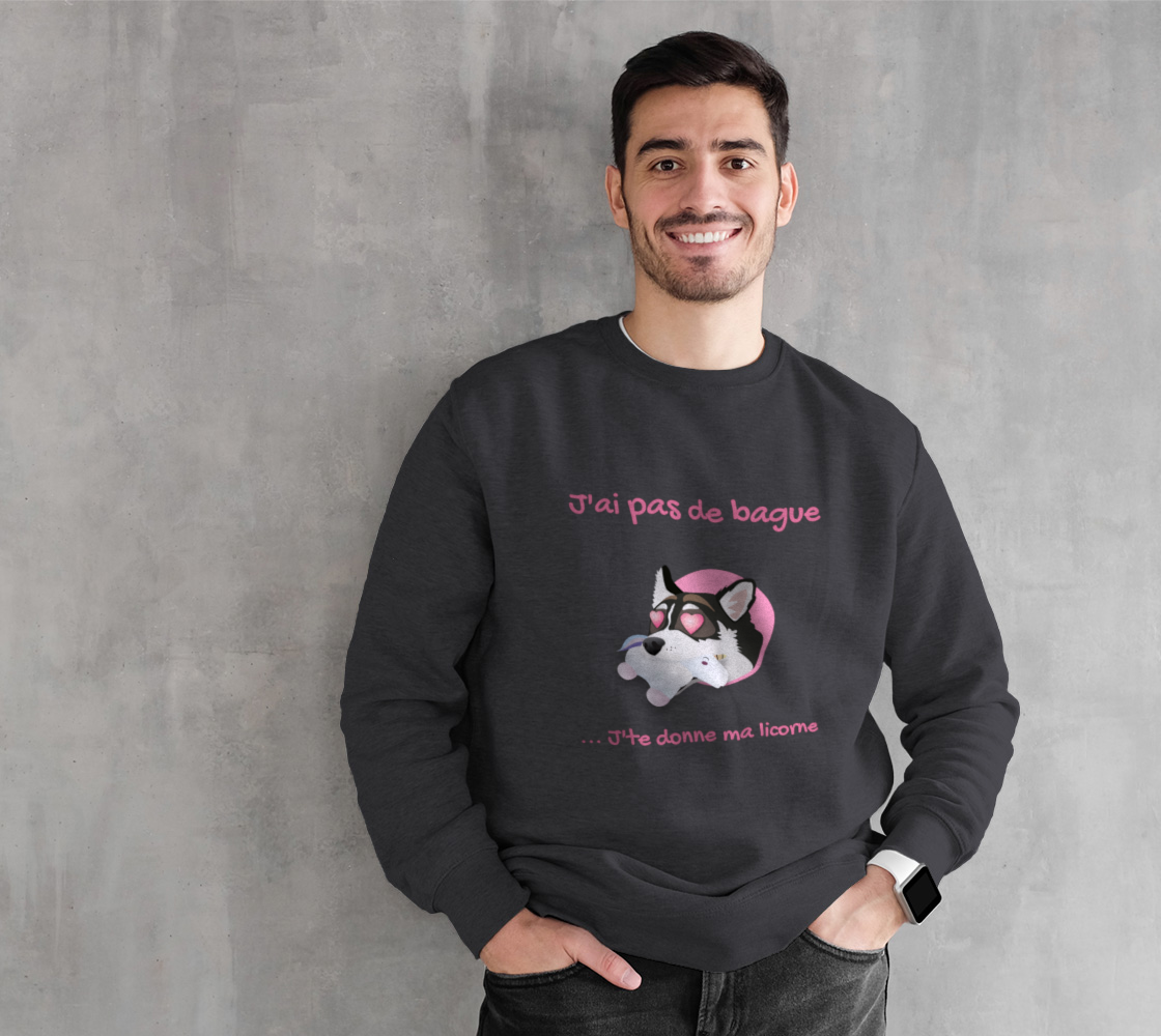 J'ai pas de bague... J'te donne ma licorne