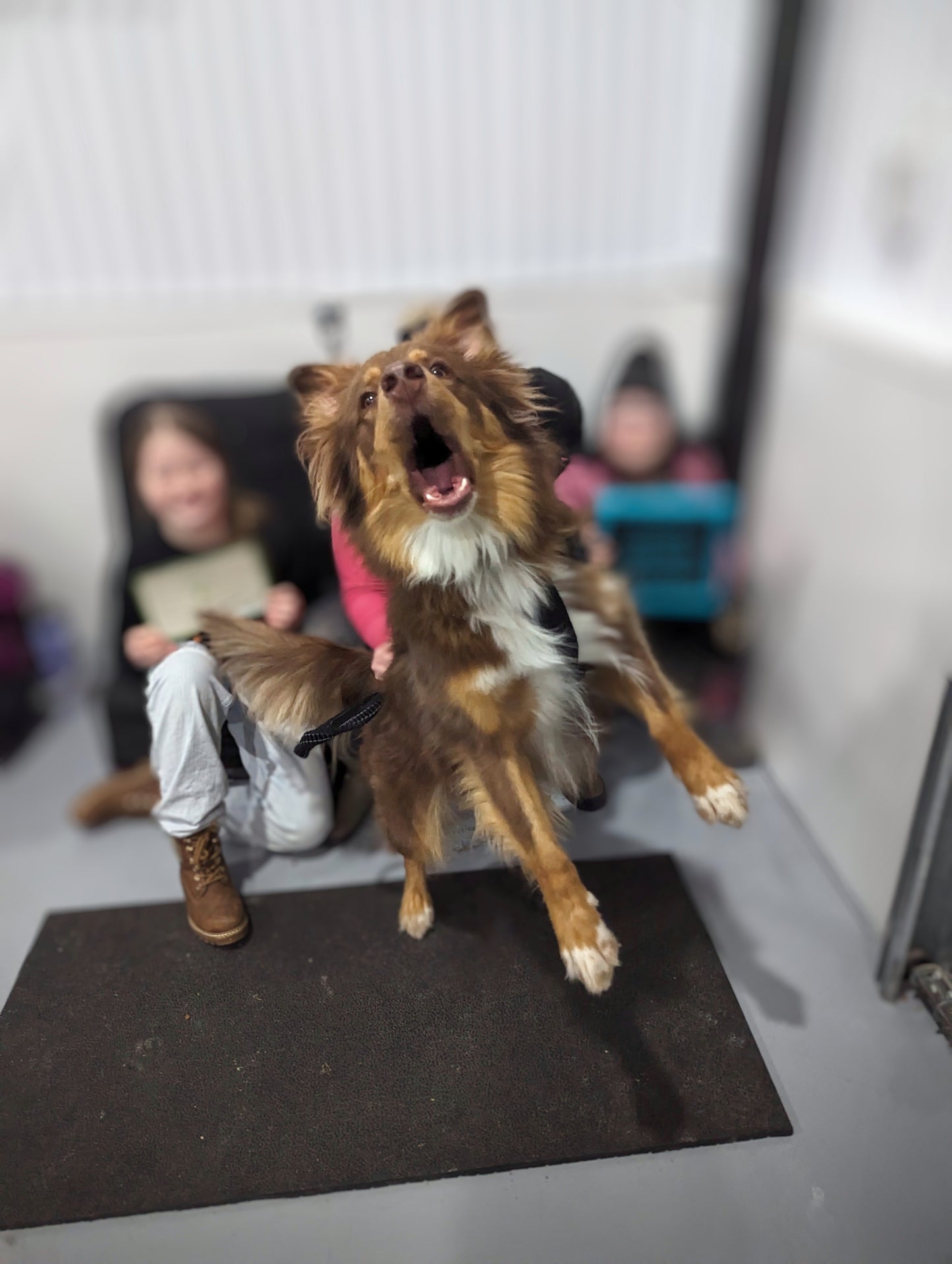 Réactivité 101 : Par où commencer ?