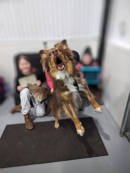 Réactivité 101 : Par où commencer ?