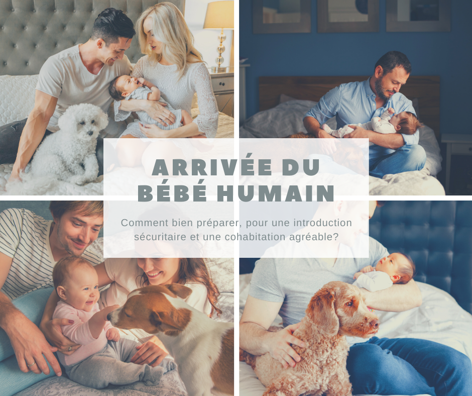 Atelier - Se préparer à l'arrivée du bébé. Avant, pendant, après!